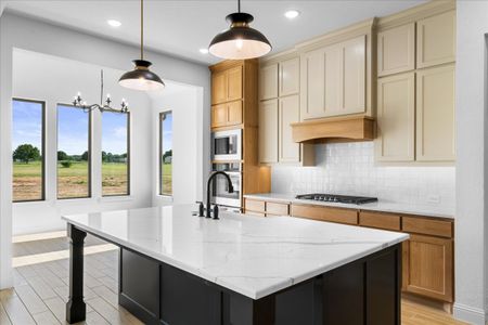 New construction Single-Family house Paradise, TX 76073 null- photo 23 23