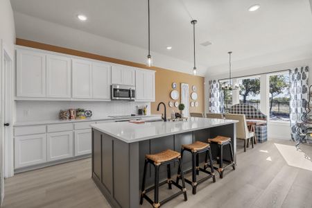 New construction Single-Family house 416 Mcalpine Dr, Springtown, TX 76082 plan Iverson IV - image 18