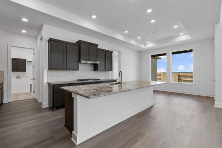 New construction Single-Family house 820 S Hemingway Lp, Liberty Hill, TX 78628 Hallsburg- photo 8 8