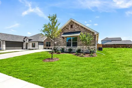New construction Single-Family house 431 Maltese, Red Oak, TX 75154 - image