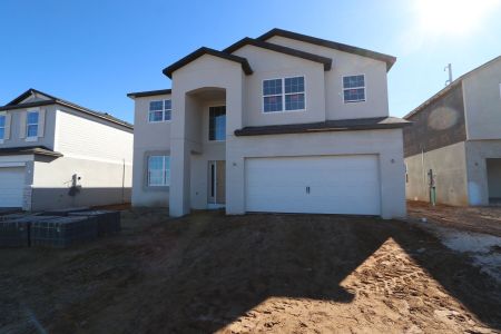 New construction Single-Family house 38338 Tobiano Loop, Dade City, FL 33525 Mira Lago- photo 94 94