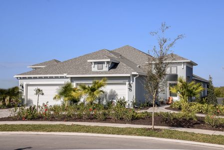 New construction Multi-Family house 10025 Hammock Brook Dr, Parrish, FL 34219 plan Tidewater 2B - image