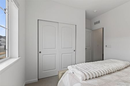 New construction Single-Family house 18197 Martinello Dr, Parker, CO 80134 plan Palisade - image 13