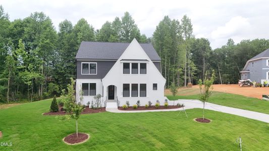 New construction Single-Family house 45 Old Pond Ct, Zebulon, NC 27597 - image