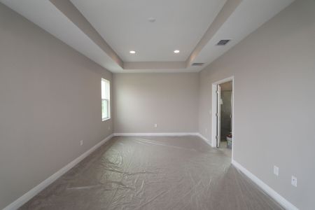 New construction Single-Family house 5762 Jeffries Way, Wesley Chapel, FL 33545 Newport II Bonus- photo 143 143