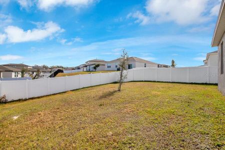 New construction Single-Family house 3761 Shoveler Ave, Leesburg, FL 34748 null- photo 19 19