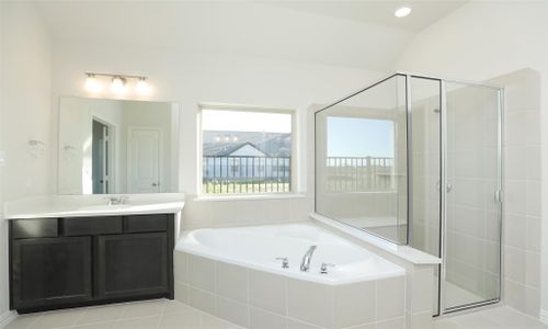 New construction Single-Family house 250 Cross Gable Ln, Dayton, TX 77535 plan Rosewood - image 18