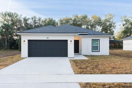 New construction Single-Family house 40 W 12Th St, Apopka, FL 32703 - image