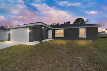 New construction Single-Family house 4073 Se 136Th Pl, Summerfield, FL 34491 - image