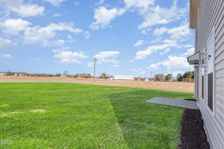 New construction Single-Family house 77 Littlefield Ln, La Grange, NC 28551 - image 4