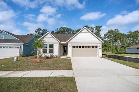 New construction Single-Family house 645 Coral Bells Ln, Summerville, SC 29486 plan Palmary - image