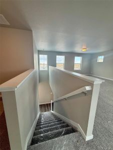 New construction Single-Family house 815 N Carrie St, Watkins, CO 80137 - image 11
