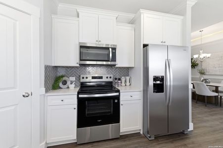 New construction Single-Family house 21127 Prairie Rose, San Antonio, TX 78264 plan Beaumont - image 18