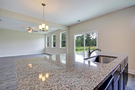 New construction Single-Family house 8613 Connor Ct, North Charleston, SC 29406 plan Ellis - image 8