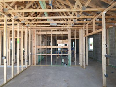 New construction Single-Family house 38413 Tobiano Loop, Dade City, FL 33525 Picasso- photo 29 29