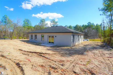 New construction Single-Family house 8413 Sw 131St Ln, Ocala, FL 34473 - image