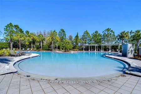 New construction Townhouse house 1291 Colt Creek Pl, Wesley Chapel, FL 33543 null- photo 92 92