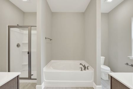 New construction Single-Family house 265 James Dr, Richmond Hill, GA 31324 plan Aspen - image 12