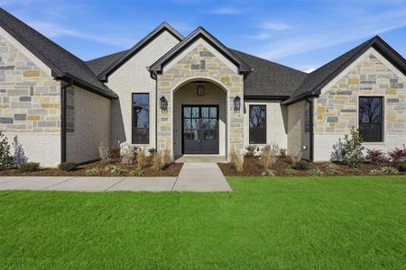 New construction Single-Family house 1101 Tremont Ln, Granbury, TX 76049 - image