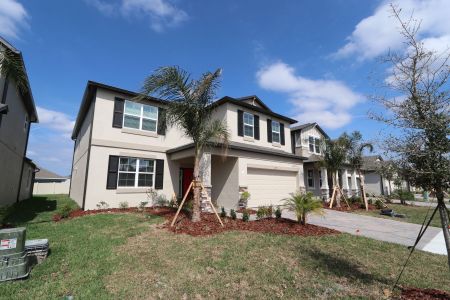 New construction Single-Family house 4877 Foxglove Cir, Lakeland, FL 33811 Alenza- photo 140 140