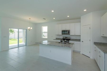 New construction Single-Family house 1586 Outback Rd, St. Cloud, FL 34771 Mulberry- photo 3 3