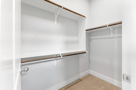New construction Single-Family house 2209 Grenache Dr, Unit 34, Pflugerville, TX 78664 Rockdale- photo 10 10