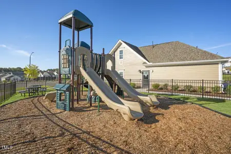 New construction Single-Family house 817 James J Freeland Memorial Dr, Hillsborough, NC 27278 plan Calhoun - image