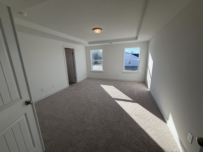 New construction Single-Family house 18 Cedar Run Ct, Benson, NC 27504 plan Ellerbe - image 15