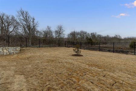 New construction Single-Family house 17316 Astral Ln, Manor, TX 78653 null- photo 1 1