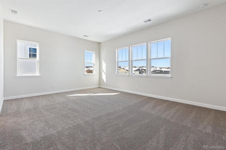 New construction Single-Family house 5041 Hickory Oaks St, Castle Rock, CO 80104 Hanford- photo 5 5