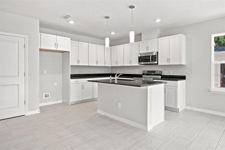New construction Single-Family house 809 S Locust Ave, Sanford, FL 32771 - image 4