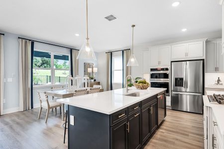 New construction Single-Family house 847 Emerald Grove Dr, Apopka, FL 32703 plan Paxton - image 10