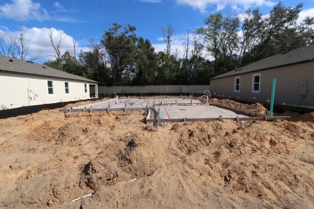 New construction Single-Family house 12008 Hilltop Farms Dr, Dade City, FL 33525 Alenza- photo 5 5