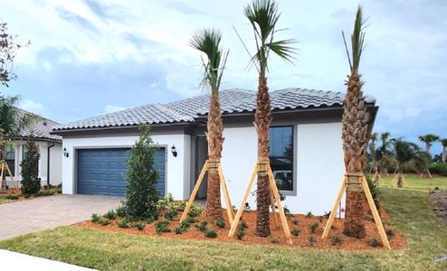 New construction Single-Family house 3936 White Alder Way, Vero Beach, FL 32967 Palmary- photo 5 5