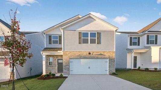 New construction Single-Family house 238 Honeydew Dr, Angier, NC 27501 plan Darwin - image