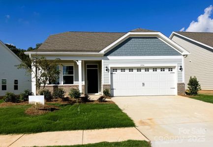 New construction Single-Family house 1080 Mapletree Ln, Indian Trail, NC 28079 - image