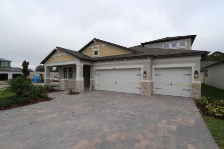 New construction Single-Family house 20112 Oriana Loop, Land O' Lakes, FL 34638 Corina  III Bonus- photo 35 35