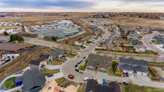 New construction Single-Family house 467 Primrose Court, Loveland, CO 80537 - photo 37 37