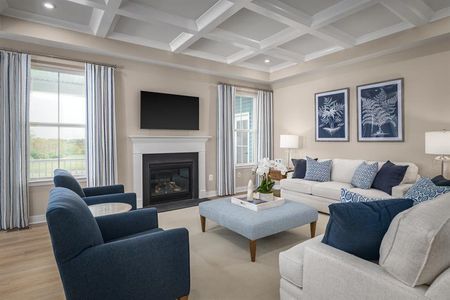 New construction Single-Family house 1010 Lacebark Dr, Ridgeville, SC 29472 plan Cumberland - image 11