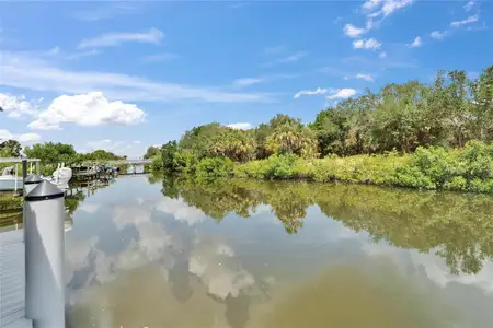 New construction Single-Family house 6520 Simone Shores Cir, Apollo Beach, FL 33572 - image 3
