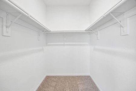 New construction Single-Family house 25194 Pomegranate Pl, Montgomery, TX 77316 - image 13