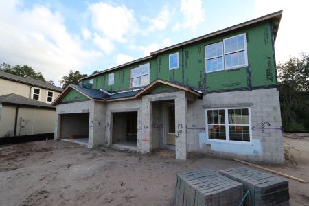 New construction Single-Family house 20125 Oriana Loop, Land O' Lakes, FL 34638 Santina II- photo 40 40