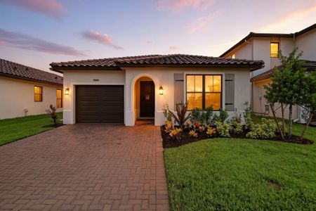 Maple Ridge by CC Homes in Ave Maria - photo 5 5