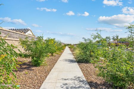 New construction Single-Family house 9722 W Agora Ln, Tolleson, AZ 85353 Eclipse- photo 9 9