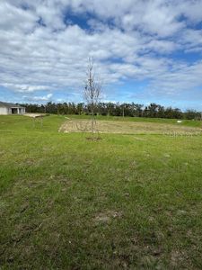 New construction Single-Family house 27417 Black Kite Ave, Howey-in-the-Hills, FL 34737 Sanibel- photo 14 14