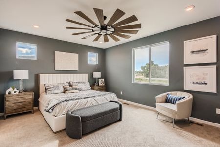 New construction Single-Family house 13788 Daffodil Wy, Parker, CO 80134 plan Denali - image 13