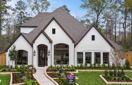 New construction Single-Family house 116 Founders Grove Lp, Willis, TX 77318 plan 3546 - image