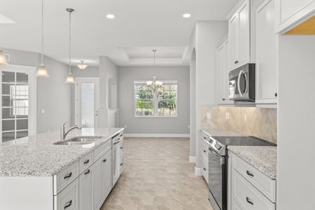Palm Coast Plantation by SeaGate Homes in Palm Coast - photo 17 17