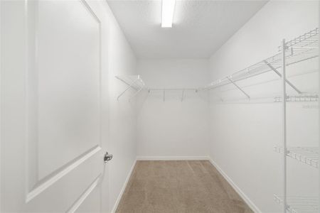 New construction Single-Family house 1576 Good Pl, The Villages, FL 34762 - image 16