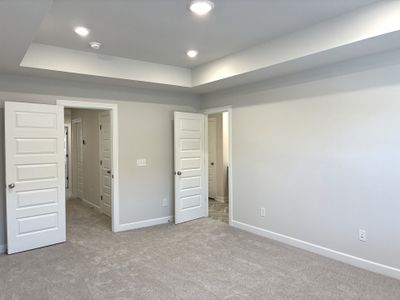 New construction Single-Family house 117 Rock Cress Trl, Greenville, SC 29607 plan The Carson - image 19